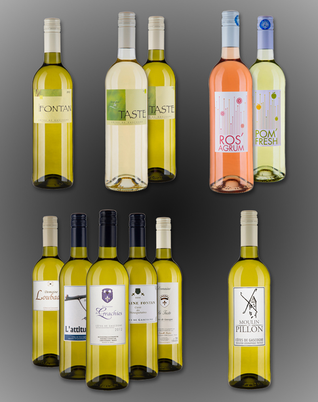 vignobles fontan, photographe packshot gers, photographe bouteilles gers, aurélie cassin