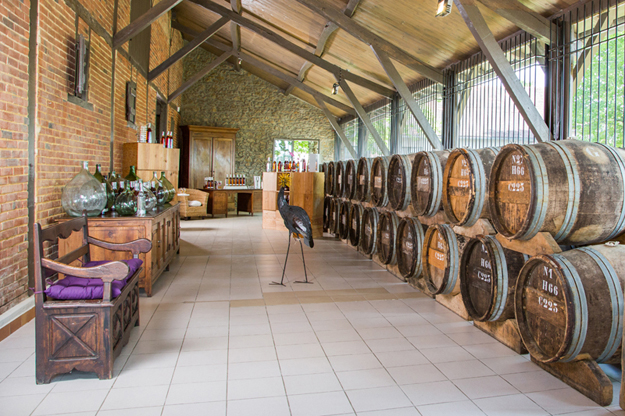 photographe gers, photographe bouteilles gers, veuve lafontan et ses enfants, armagnac gers